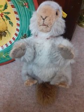 steiff knopfwaschbär eichhörnchen stinktier ? Süßes Sammlerstück grau Fell Made in Germany