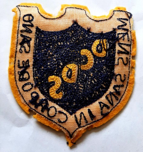 Detroit Country Day School embroidery arm patch mens sana in corpore sano old - Picture 2 of 2