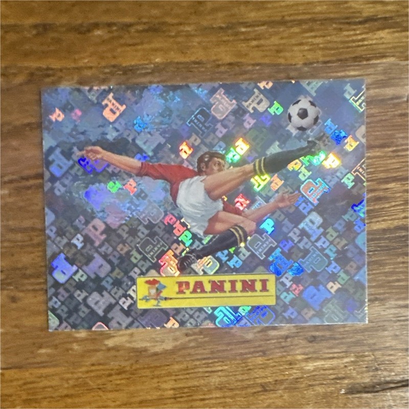 Panini Soccer Sports Trading Card Hologram Insert - Card Name: Panini