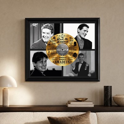 Falco Gold Record Display, Framed Vinyl Music Wall Art Decor