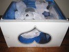 Foto 19 di 20