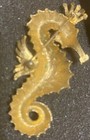 Picture 4 of 10