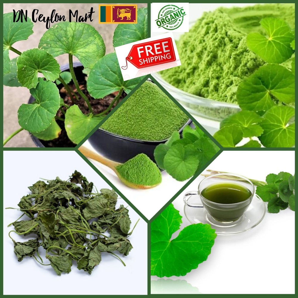 Dried Gotukola Leaf Powder Centella Asiatica Brain Health Organic Herbal Natural