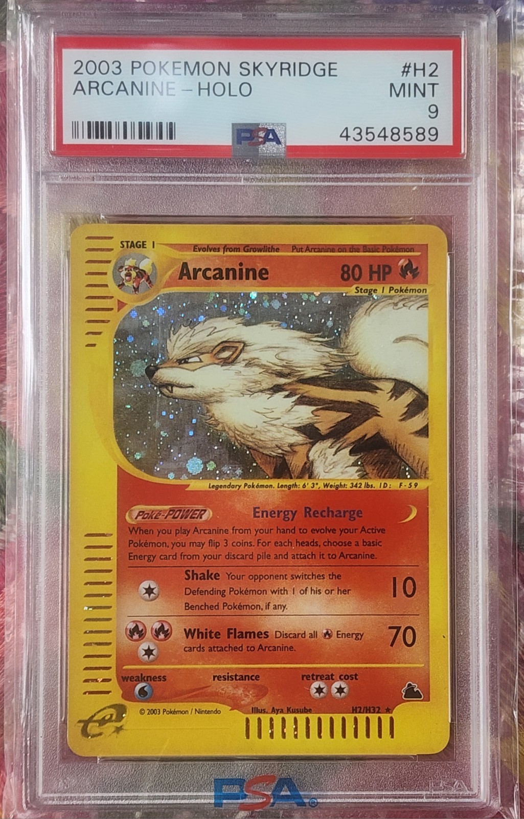 💎PSA 9 Pokemon Arcanine H2/H32 WotC Skyridge Holo Rare💎