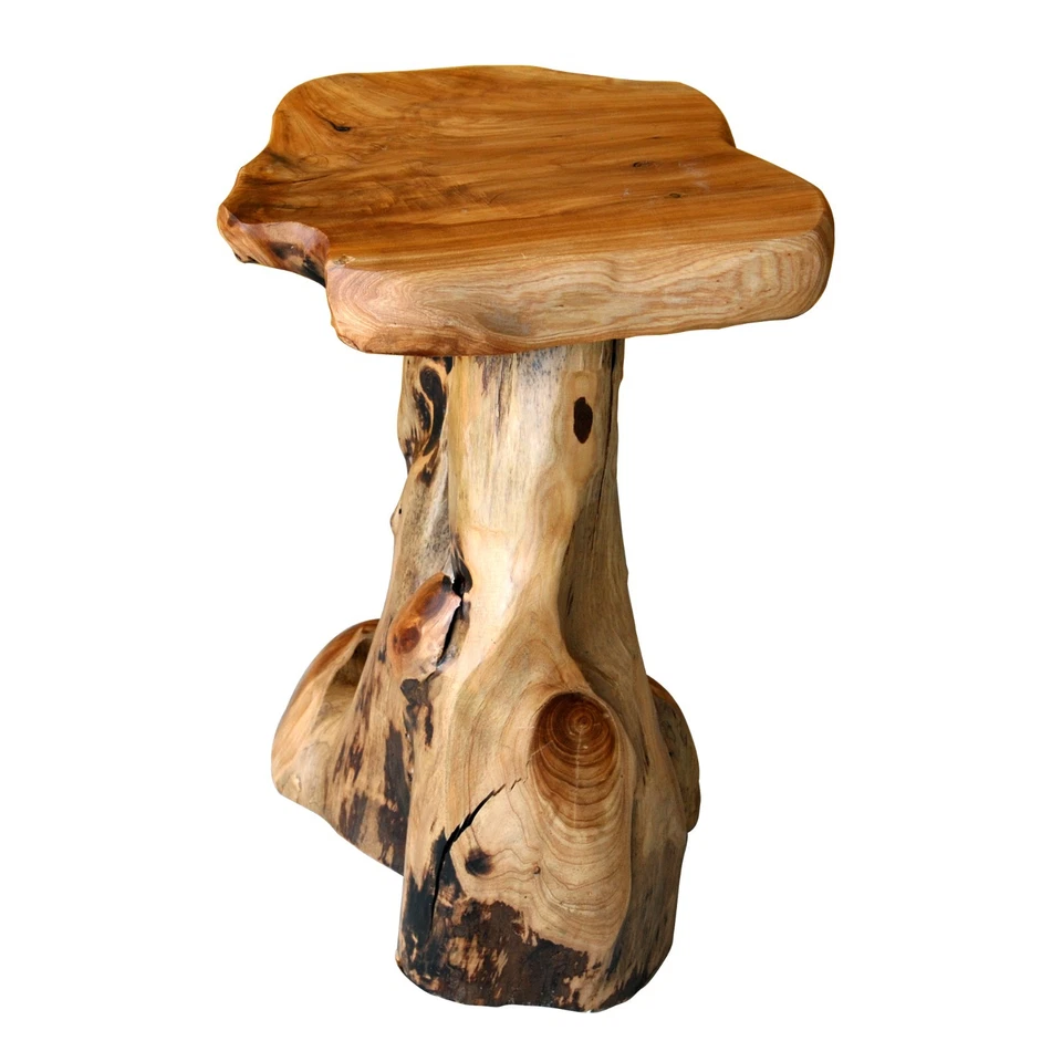 Greenage Live Edge Cedar Stool, 19.5"H Tree Stump Side Table, Rustic Plant Stand - Image 3 of 4