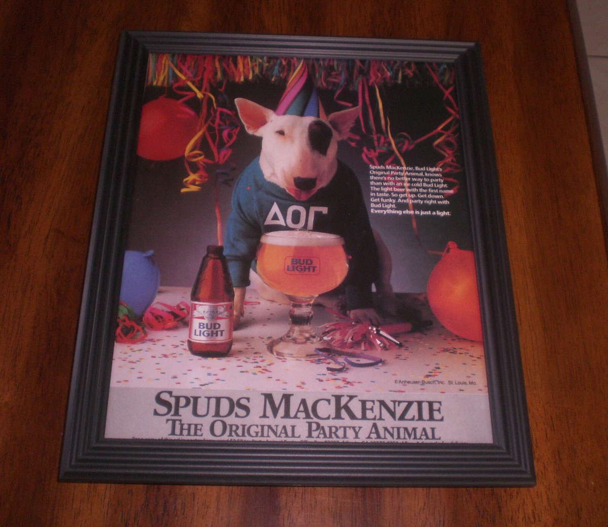 SPUDS MACKENZIE BUD LIGHT BEER FRAMED COLOR AD PRINTS - YOUR