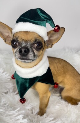 Unique dog elf,  Christmas costume for dogs,  elf dog, Santa hat for dogs