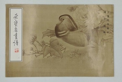 Rongbaozhai huapu [birds] - vol. 2 : Gongbi huaniao bufen. [Bianji chuban Rongba