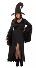 Spirit Gothic Witch Costume Adult S/M 4-8 Complete Halloween Costume Read Desc