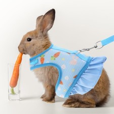 Adjustable Rabbit Leash Outdoor Harness Bunny Accessories for Rabbits