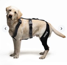 Tailwinds Double Knee Brace for Dogs - Crucia...