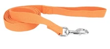 Coastal Pet New Earth Soy Dog Leash 1” X 6’