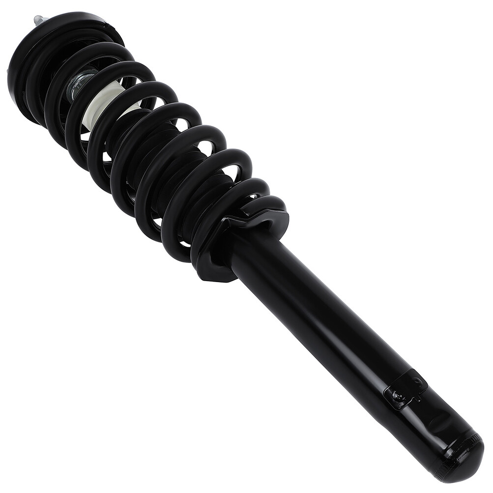 Rear Left & Right Side Struts w/Coil Springs Shock Absorber