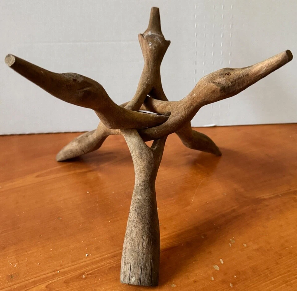 Soporte trípode cocodrilo africano coliflor coral blanco natural 5 libras 10 x 10 x 6 Foto 3 de 4