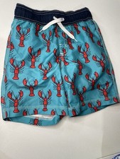 Gymboree Swimming Trunks Size S- 5/6