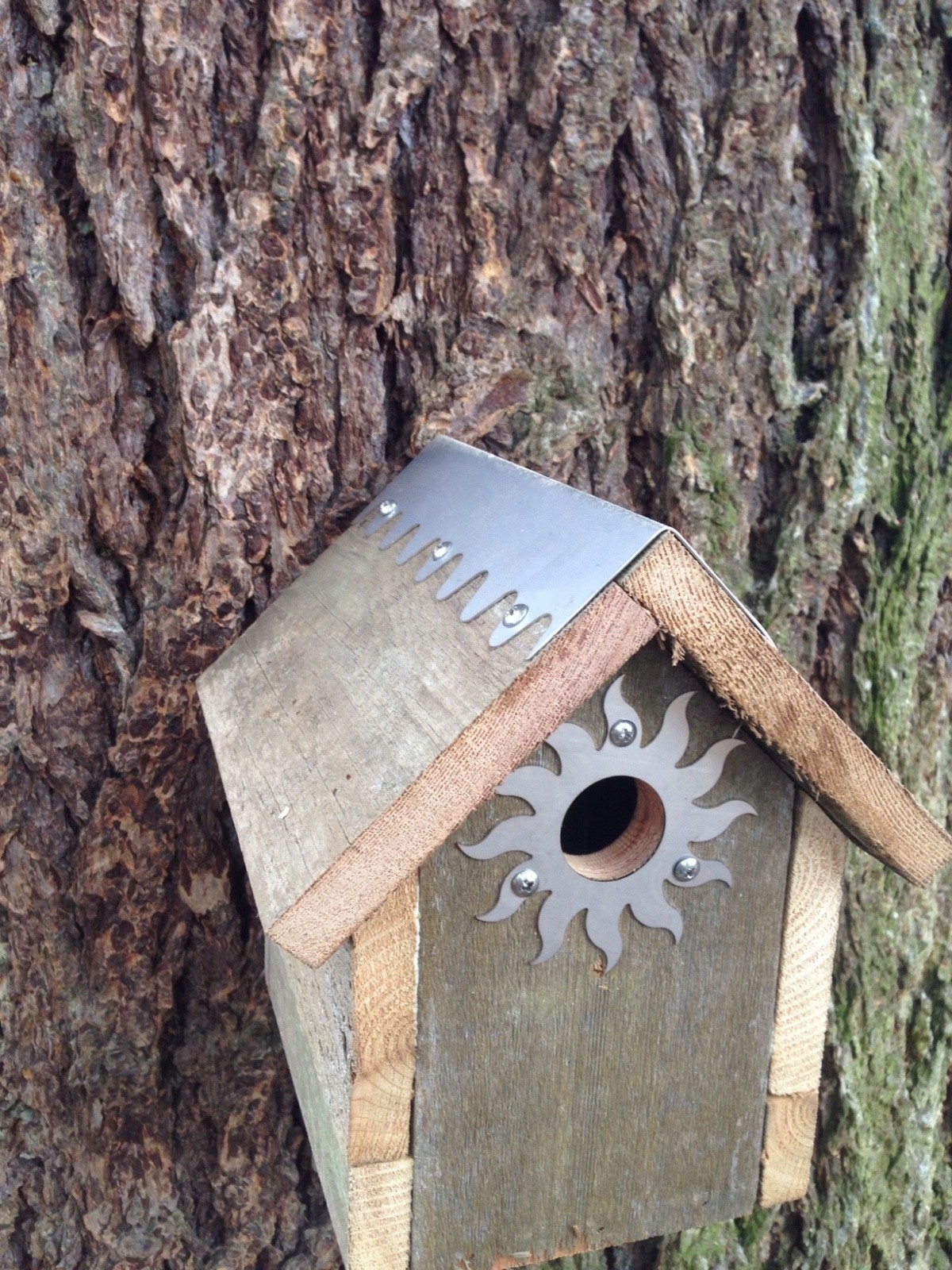 Bird House HOLE=PROTECTOR Sunburst 20 guage SS with a 1 1/2"" openi eBay