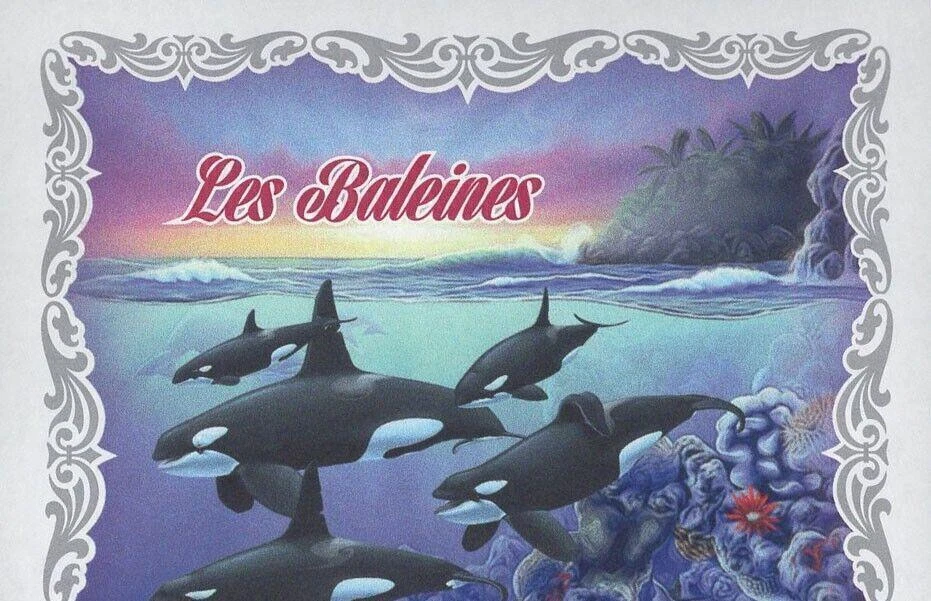 Whales Marine Fauna Beach Ocean Souvenir Sheet Mint NH - Image 3 of 4