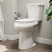 21 in. Extra Tall 2-Piece High-Efficiency 1.28 GPF Single Flush Elongated Toilet