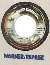 Ronnie Spector 45 WARNER SPECTOR 0409 When I Saw You 1976 STOCK COPY