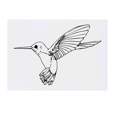 'Hummingbird' Temporary Tattoos / Transfers TO00025300 