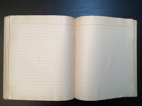 Antique Hand Written Moline, IL High School Botany Notebook Illus. 1890s - Picture 19 of 20