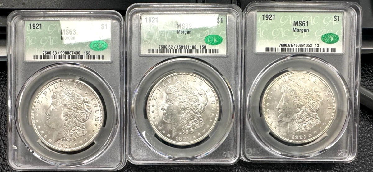 MS 63 Graded 1921 Year Morgan US Dollars (1878-1921) for sale | eBay