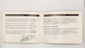 Disney Adventures in the Magic Kingdom Nintendo NES Instruction Manual ONLY