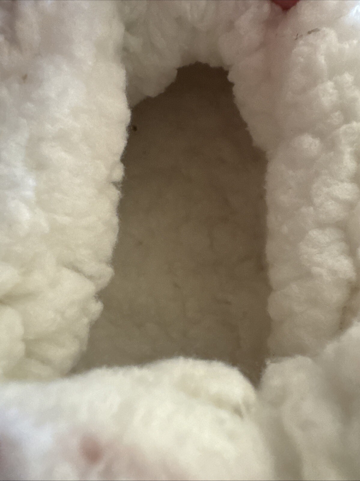 PANTOFOLA D’ORO LEMON Calzini Ciabatte Donna RESISTENTI ANTISCIVOLO SLIP ON Peluche TAN GRIGIO TG S