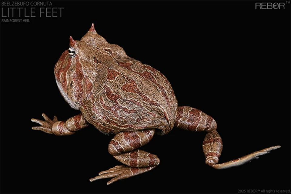 REBOR 1/2 Beelzebufo Action Figures Frog Decor Animal Model Adult Kids Gift Toys - Image 3 of 4