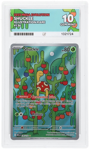 Shuckle graded ACE 10 for sale on eBay