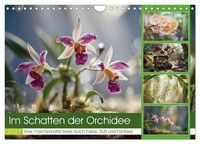 "Calendar 2027 · US Version · In The Shadow Of The Orchid (Wall Calendar 2027 12\""