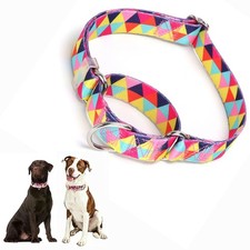Martingale Collar for Dog Heavy-Duty Training Slip Collar for Medium Dogs 17