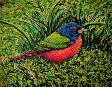 Beautiful Painted Bunting Bird Wildlife Fine Art Painting. Acrylic 14x11