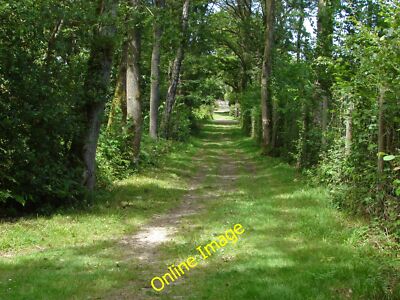 Foto 6x4 Fußweg abseits der Fisher Lane Upper Ifold Der Fußweg von Fisher L c2014