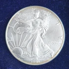 1999 American Silver Dollar 1 Oz Fine Silver Walking Liberty Uncirc. in Case