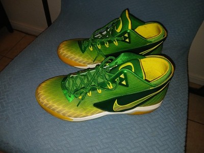 Size 10.5 - Nike Zoom Field General Oregon