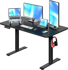 Electric Standing Desk Adjustable Height, 48 X 24 Inch Computer Desk with Headph