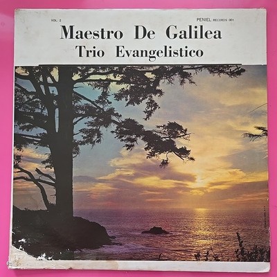 Trio Evangelistico Maestro De Galilea PENIEL 001 Musica Cristiana VG/VG #7421