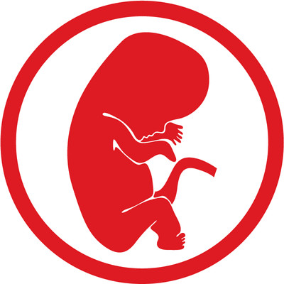 Embryo Born Pregnancy Sign Car Bumper Sticker Decal 5