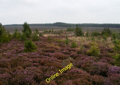 Foto 6x4 Clear Fällung, Ton Hill Allerston High Moor aufgenommen von links c2014