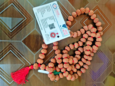 9 Mukhi Rudraksha Mala 10mm Perle symbolisiert Göttin Durga Indonesien Urspru...