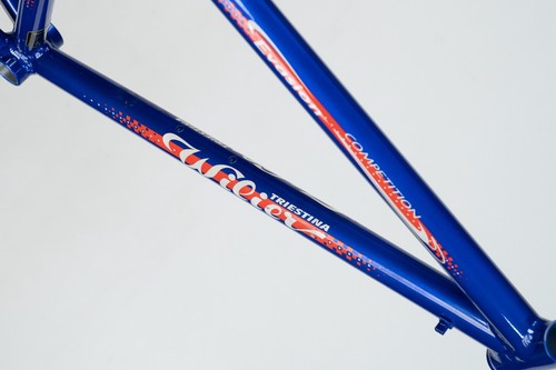 NOS WILIER EVASION COMPETITION EASTON ELITE ALLOY FRAME VINTAGE ROAD RACING BIKE - Picture 12 of 16