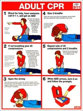 Adult CPR FIRST AID Instructional Wall Chart 18x24 POSTER (ARC-AHA Guidelines)