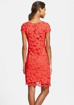 Just Taylor Dress Women 8 Lace Overlay Sheath Classic Capsule Wardrobe $228 | eBay Just Taylor Dress Women 8 Lace Overlay Sheath Classic Capsule Wardrobe $228 | eBay