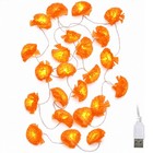 Yescom 2PC 20FT 40 LED Marigold String Lights USB Halloween Day of Dead Decor — photo 2