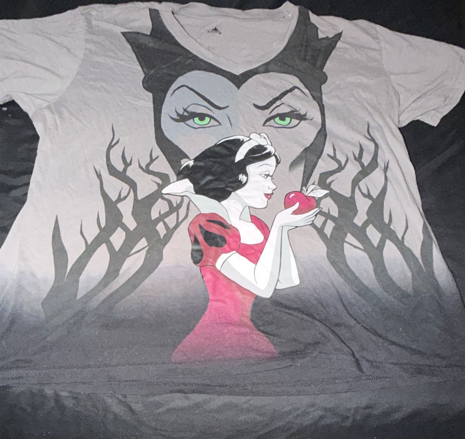 Disney Snow White & Evil Queen Graphic T-Shirt Gray 2XL Unisex Adult