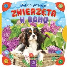 Maluch poznaje zwierzęta w