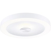 Paulmann 71179 Volea Led-Deckenleuchte Led 4 W, 18.5 W Weiß, Silber