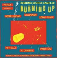 Audio Cd - Burning Up (Burning Sounds Sampler) / Various - Burning Sounds -D- N