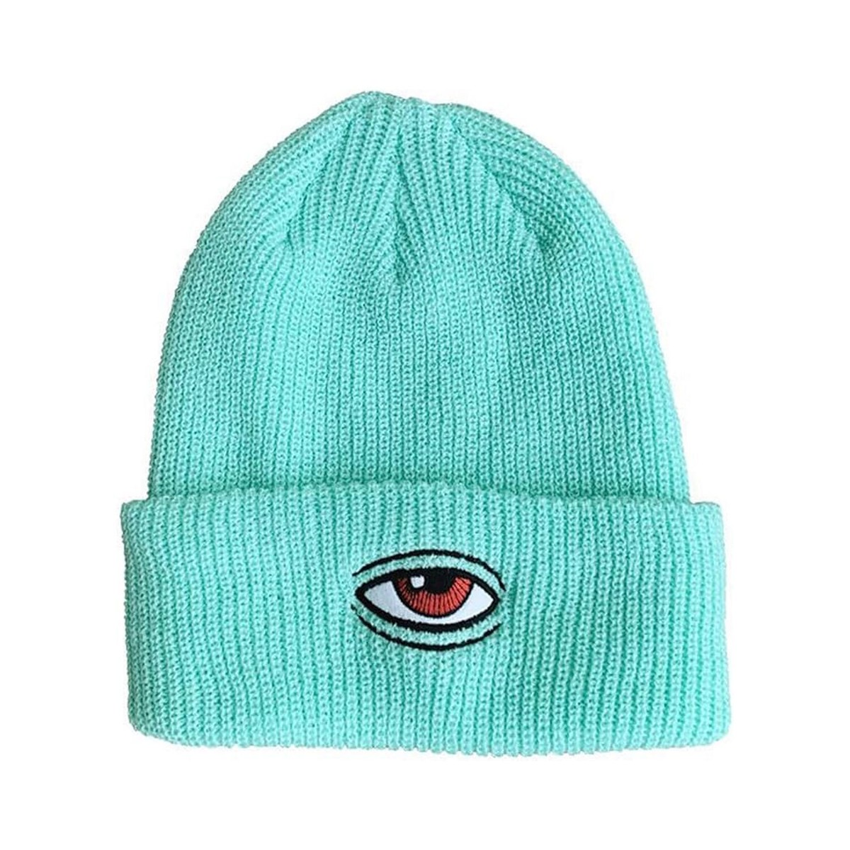 Toy Machine Skateboard Beanie Sect Eye Dock Sky
